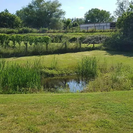 Reizendes Mit Swimmingpool Naehe Ostsee Moor-Rolofshagen